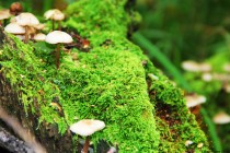 黑客大户追款团队（黑客大户追款是怎样帮助追款）