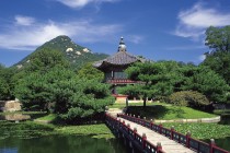 正规黑客24小时联系微信（黑客联系方式微信号）